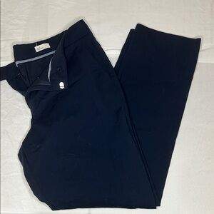 GAP Women's Navy Trousers